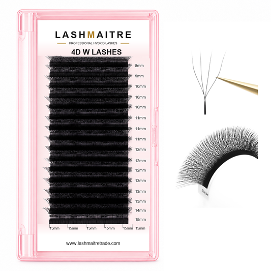 LASHMAITRE W Shape 4D Premade Volume Fan Lashes 4D W LASHES main product image