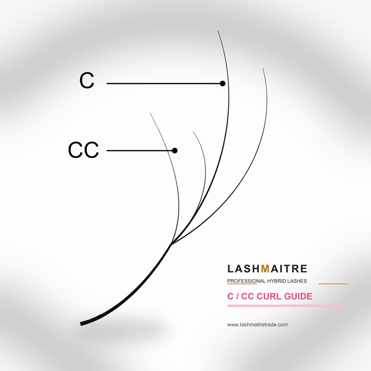 LASHMAITRE Double Layer Y Lashes complete curl guide